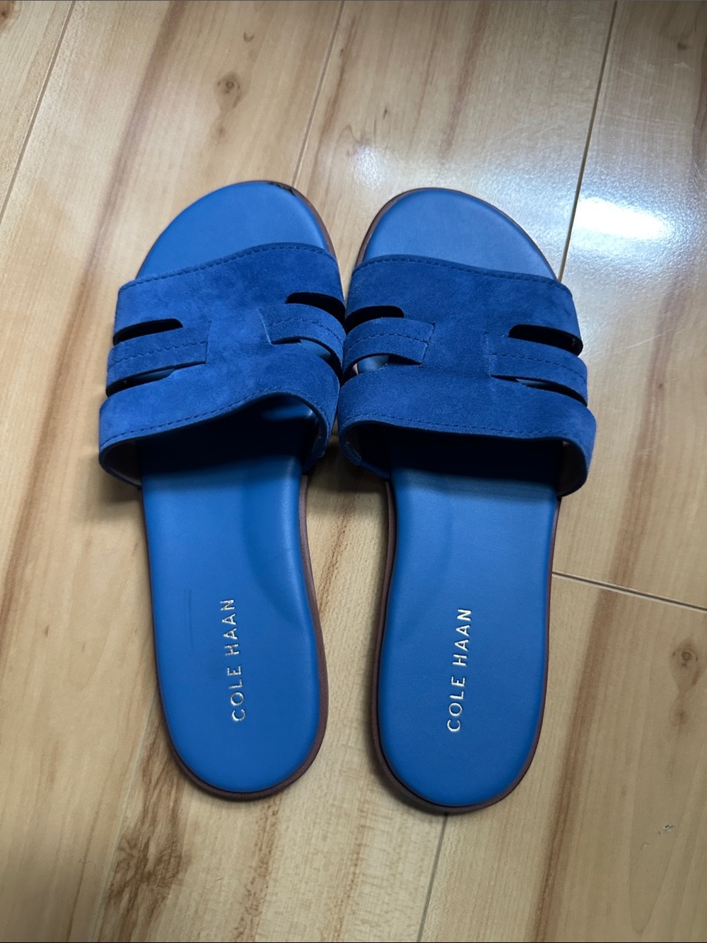 Cole Haan Women’s Royal Blue Suede Slide Sandals